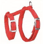 Arnés con Correa Gatitos