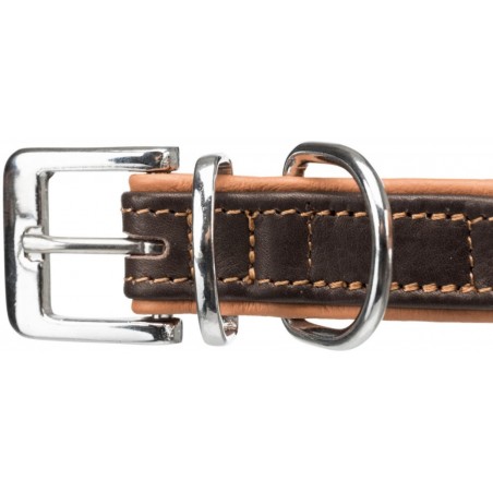 Collar Active Comfort