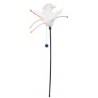 Surtido Varitas Juego