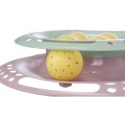 Junior Kitten Circle