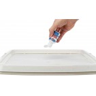 Entrenamiento en Casa