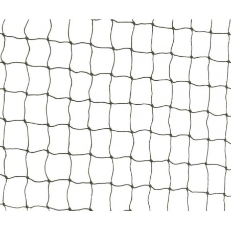 Red Protectora, Reforzada