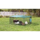 Recinto Exterior Animales Jóvenes con Red de Protección