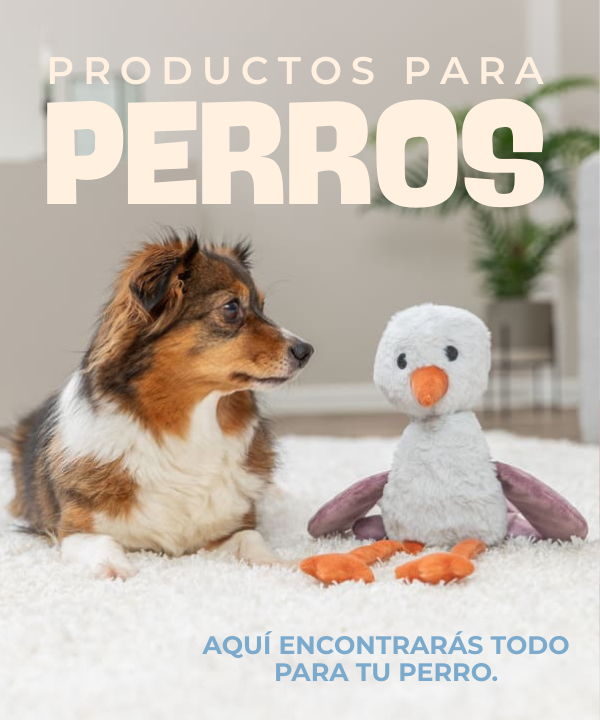 Todo para tu perro